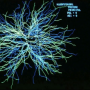 ph024_dphot281_neurone_du_thalamus_humain.png