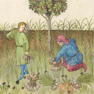 Scène au moyen-âge Scène au moyen-âge